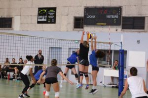IMG_3931-1 (1)