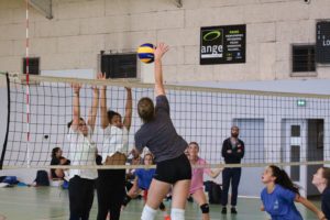 IMG_3952-1 (1)