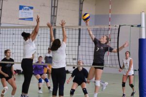 IMG_4060-1 (1)
